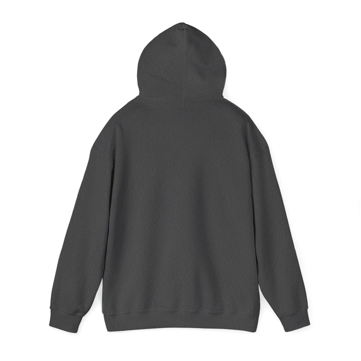 Hoodie — "Big Thrift Energy" Retro Graphic Hooded Sweatshirt