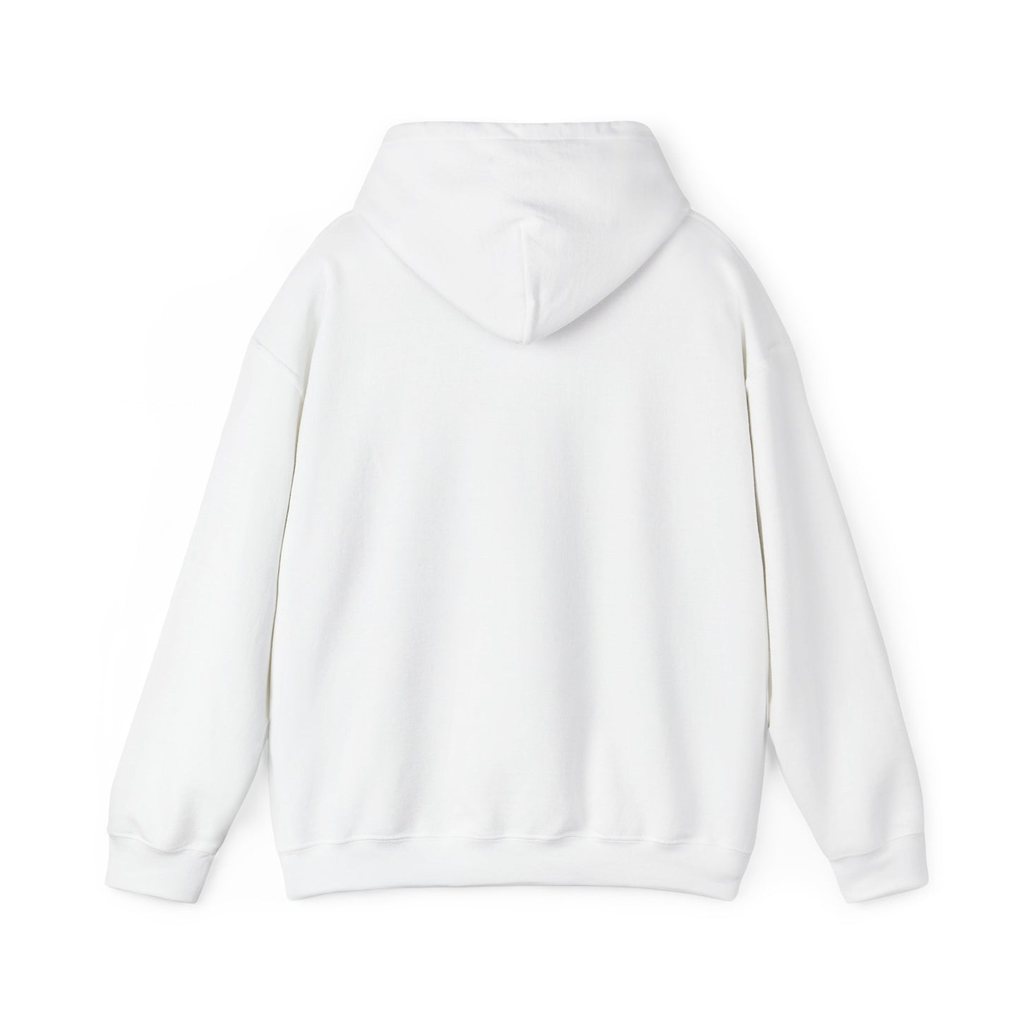 Hoodie — "Big Thrift Energy" Retro Graphic Hooded Sweatshirt