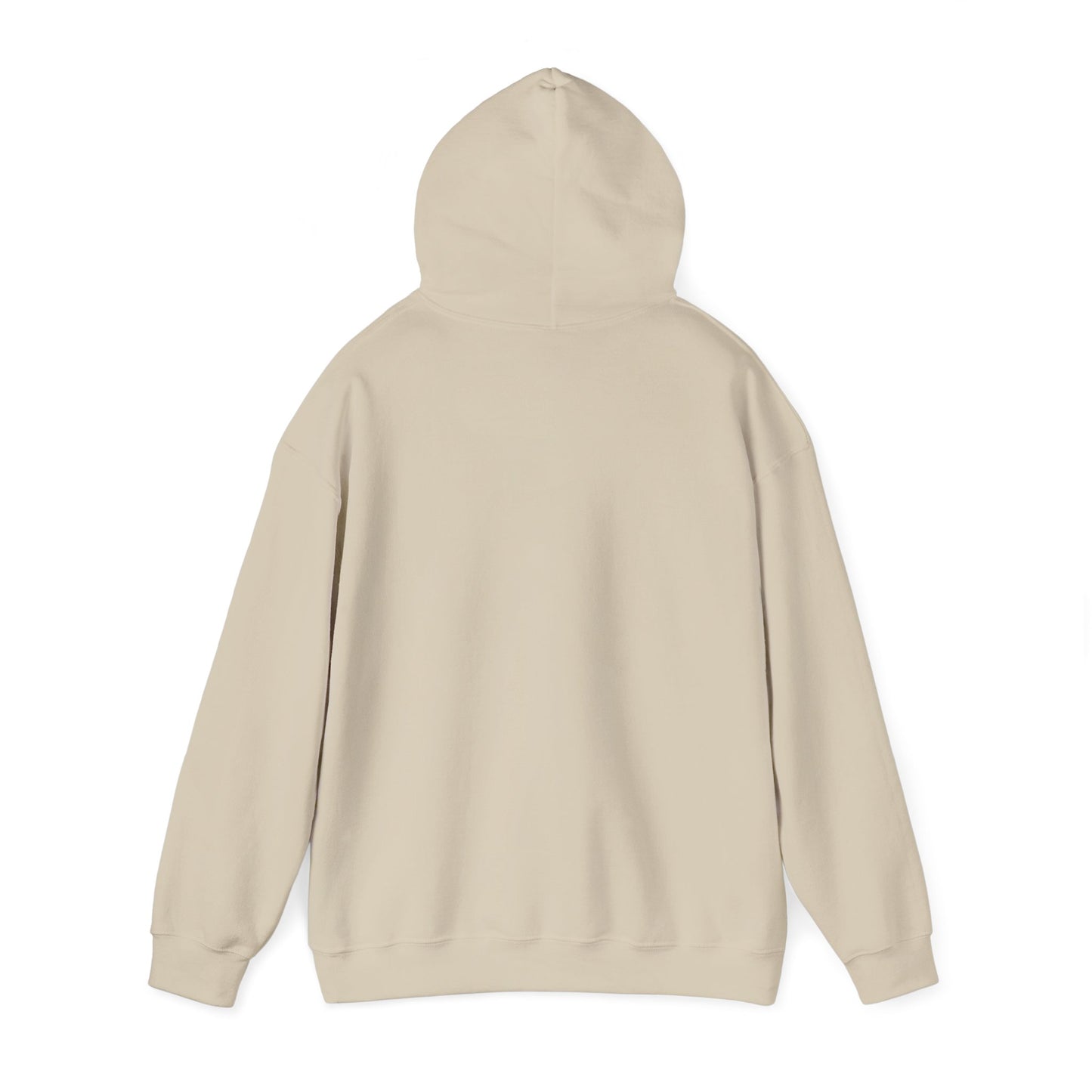 Hoodie — "Big Thrift Energy" Retro Graphic Hooded Sweatshirt