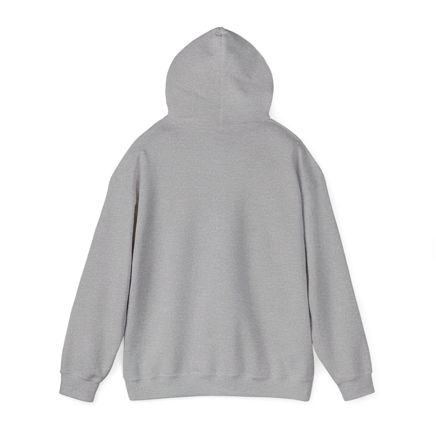 Hoodie — "Big Thrift Energy" Retro Graphic Hooded Sweatshirt