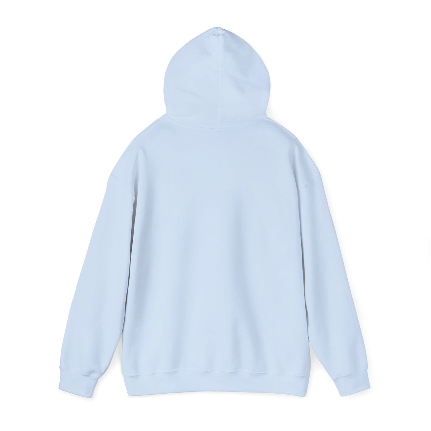 Hoodie — "Big Thrift Energy" Retro Graphic Hooded Sweatshirt