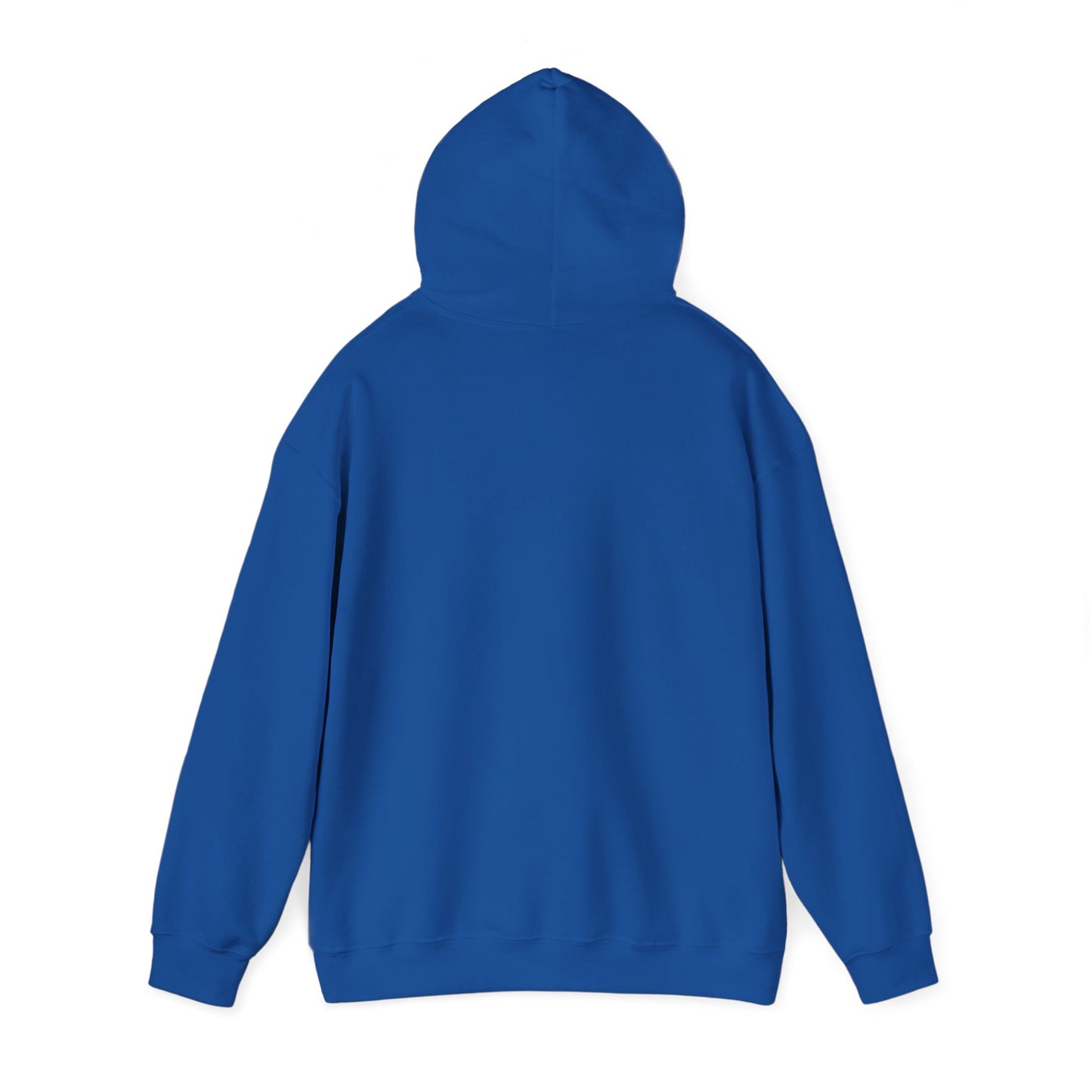 Hoodie — "Big Thrift Energy" Retro Graphic Hooded Sweatshirt