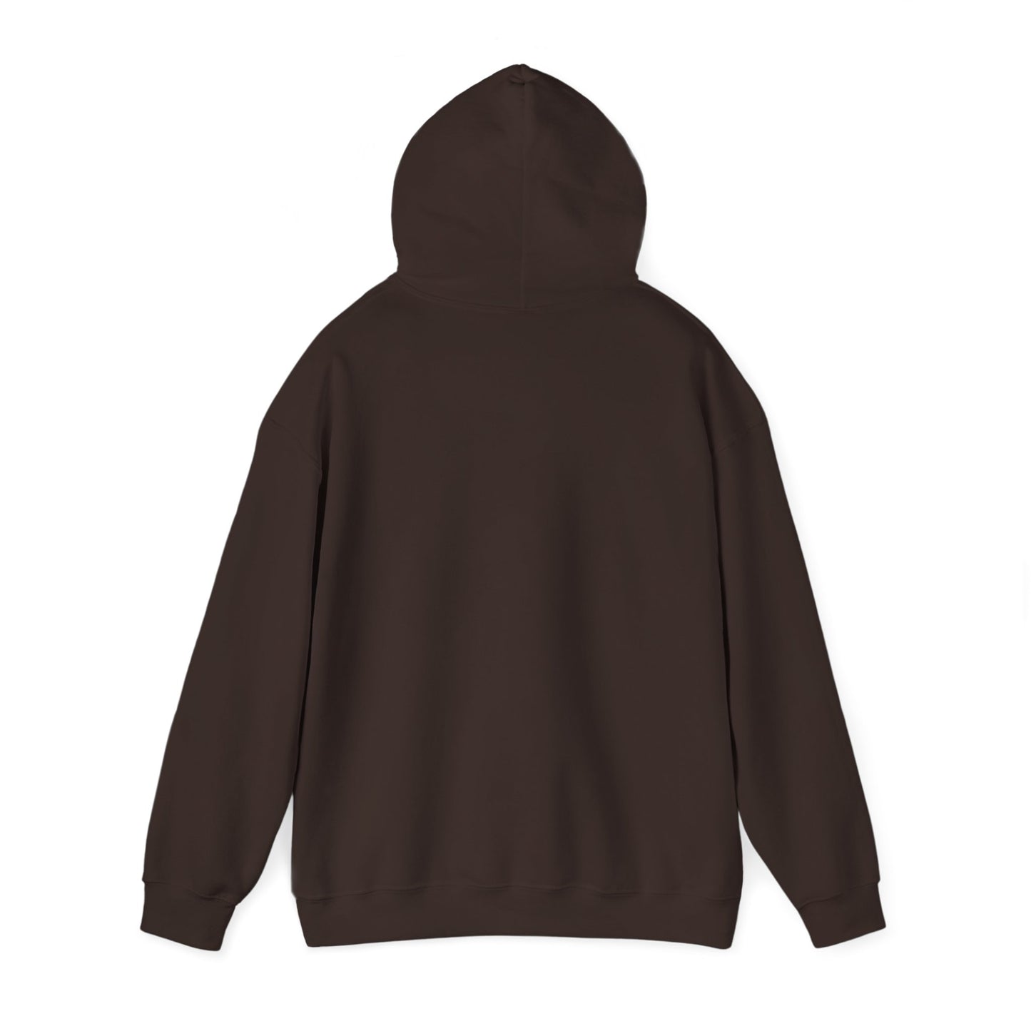 Hoodie — "Big Thrift Energy" Retro Graphic Hooded Sweatshirt