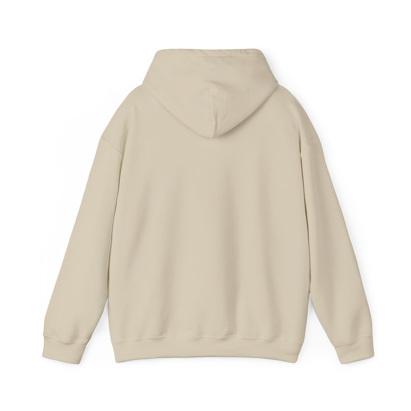 Hoodie — "Big Thrift Energy" Retro Graphic Hooded Sweatshirt