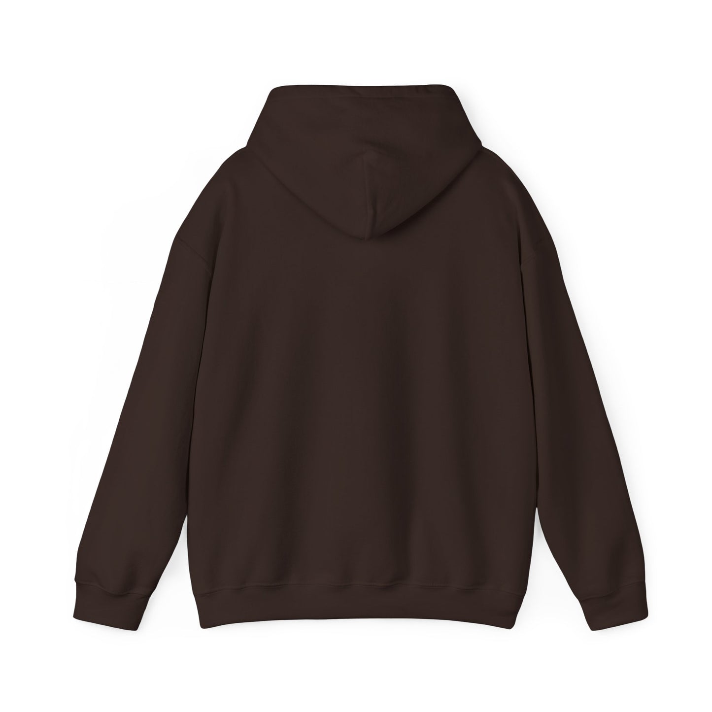 Hoodie — "Big Thrift Energy" Retro Graphic Hooded Sweatshirt