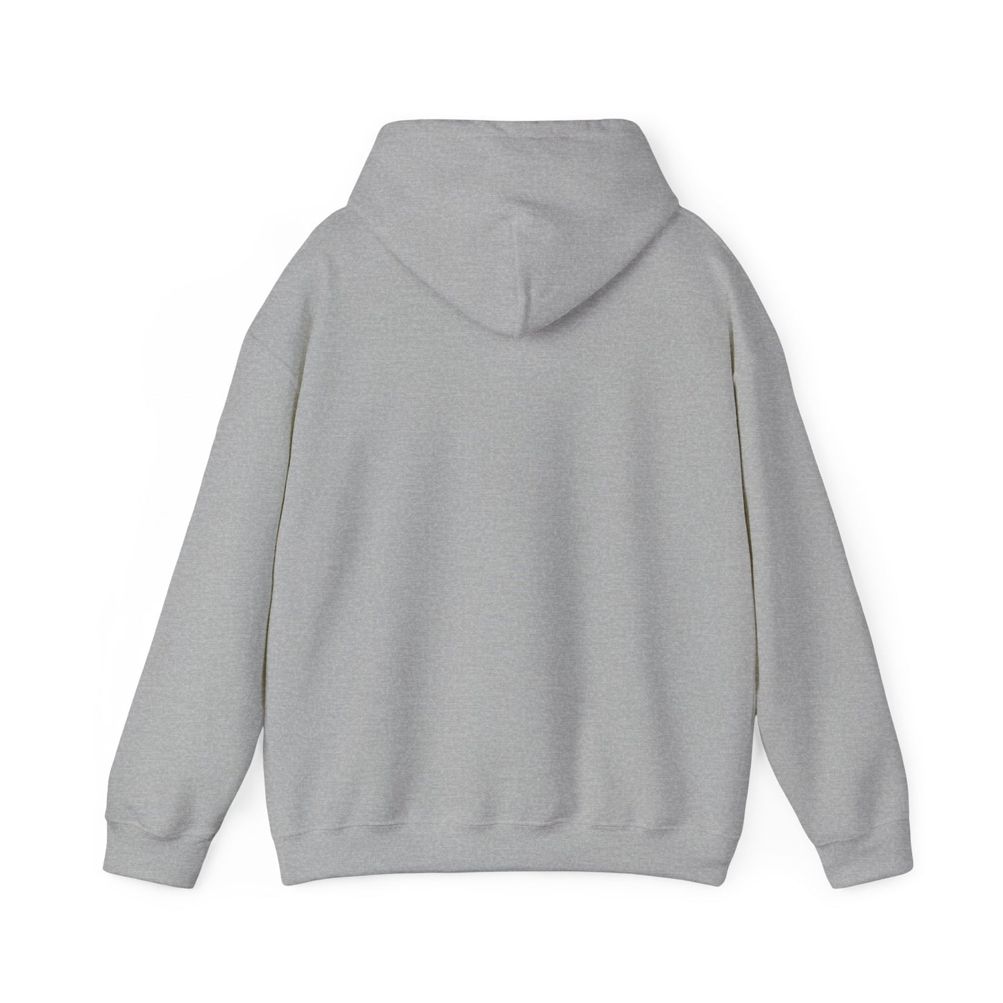 Hoodie — "Big Thrift Energy" Retro Graphic Hooded Sweatshirt