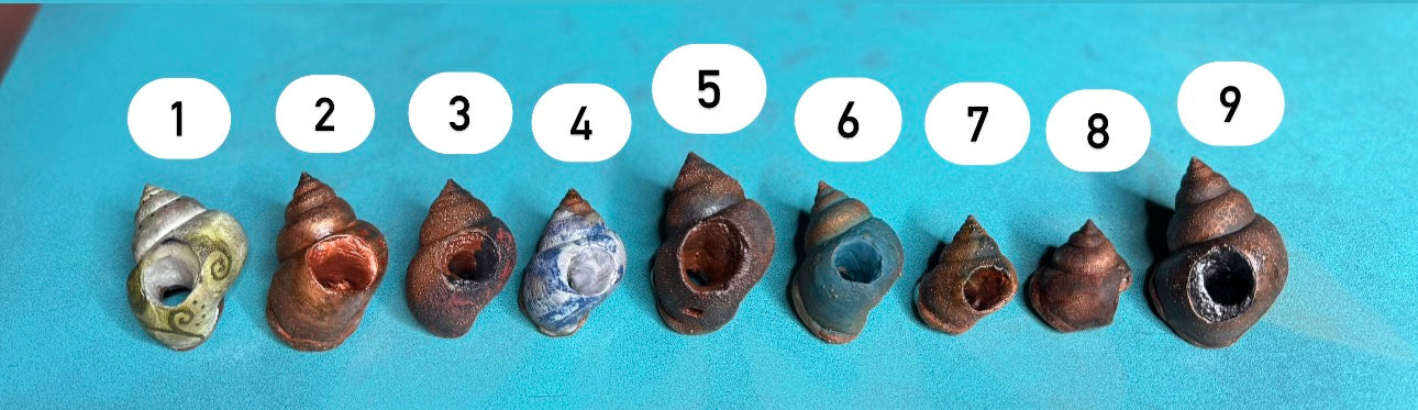 Vargparla Spiral Shell Beads - Small #1